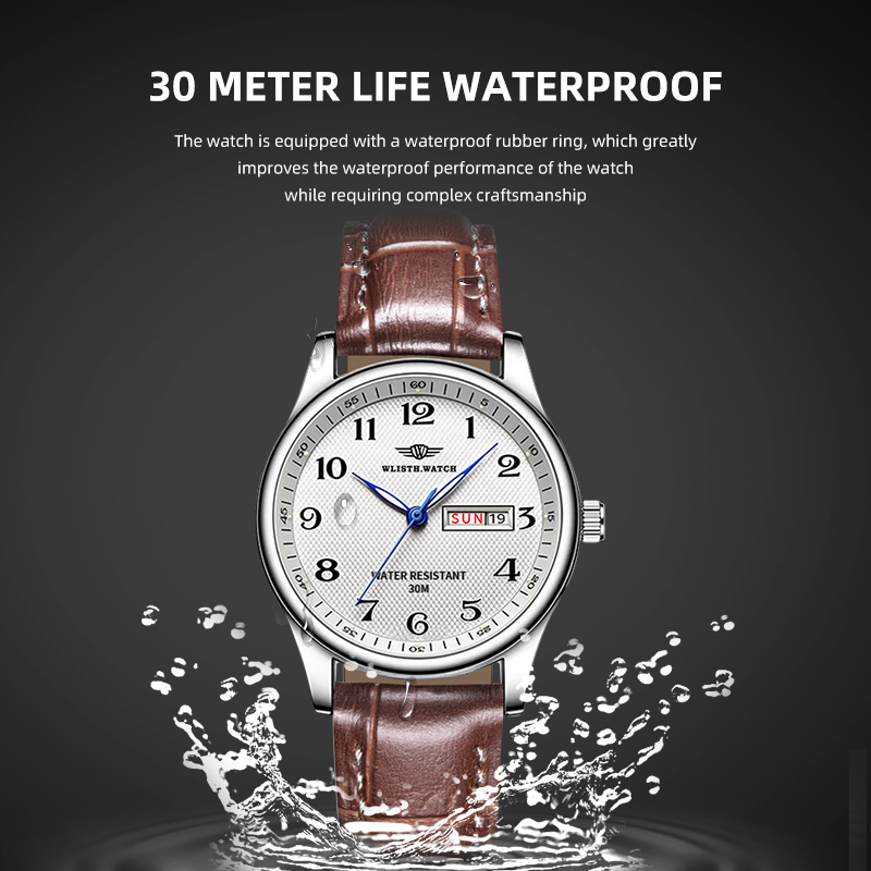 WLISTH Luxury Brand Men's Watc - Luxury Watch Holder For Men 评论和价格