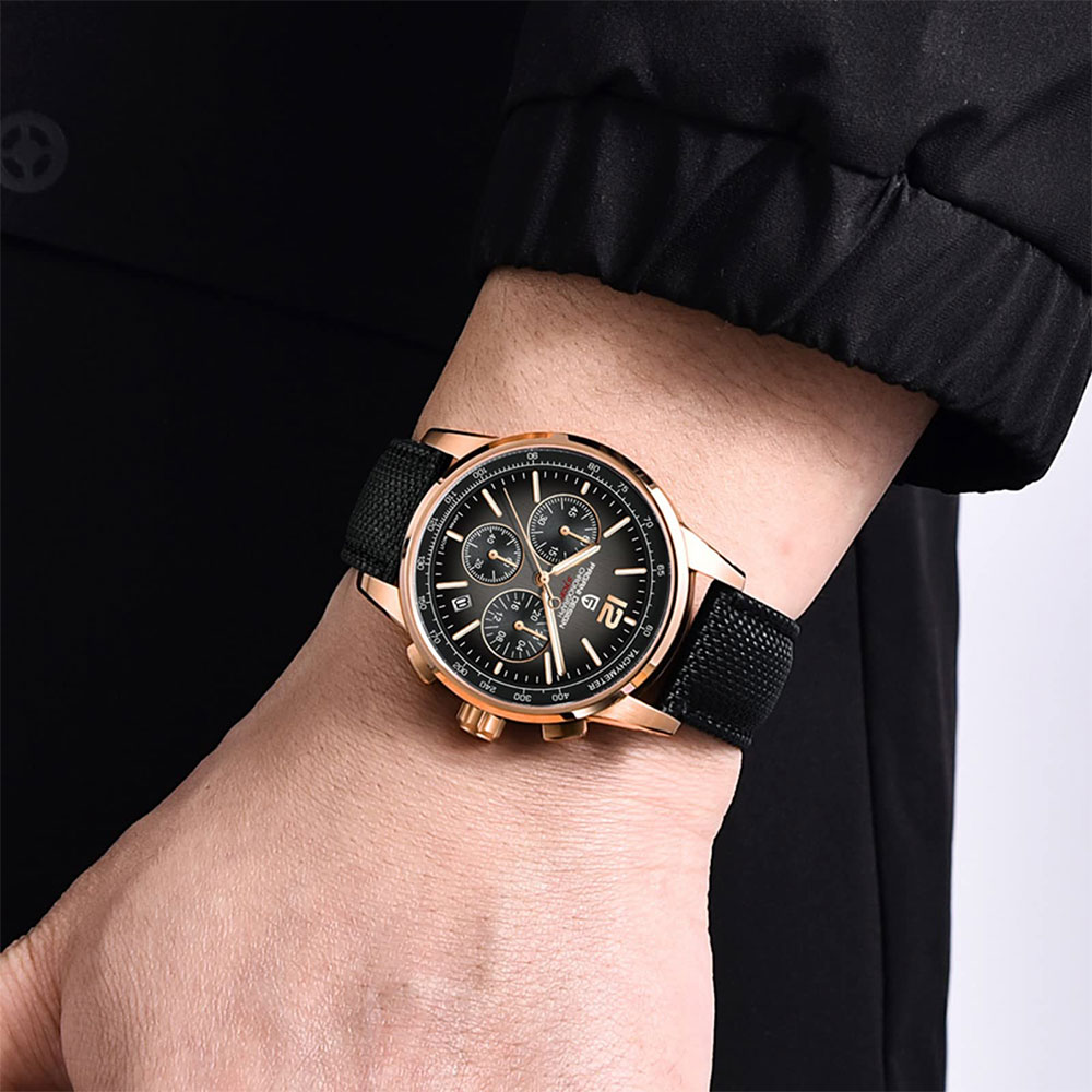 PAGANI DESIGN New Mens Watch 4 - Luxury Watch Logo 评论和价格
