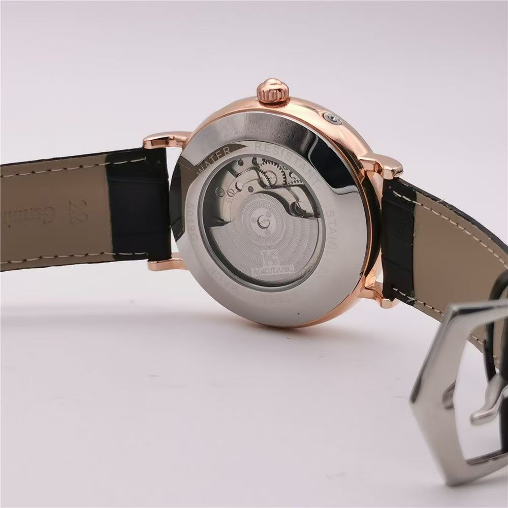 High-End Luxury Men's Mechanic - Luxury Watch Korea 评论和价格